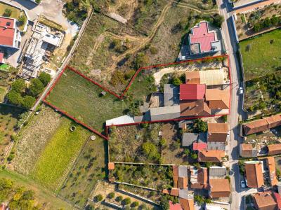 Leiria, Leiria 2405-032, Portugal