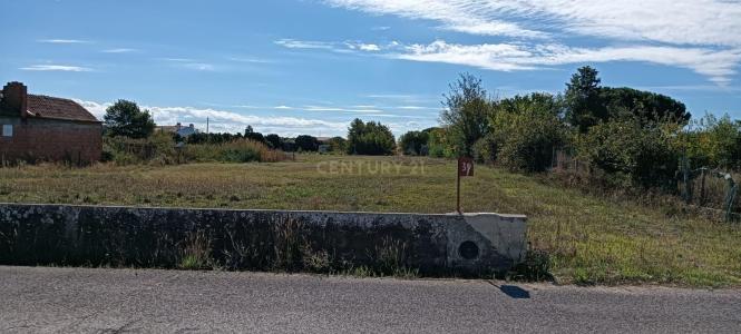 Salvaterra de Magos, Santarém 2125-187, Portugal