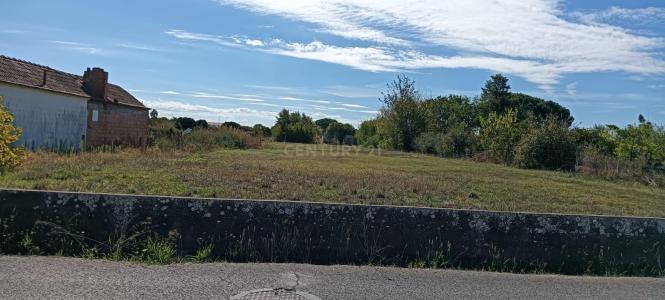 Salvaterra De Magos, 聖塔倫 2125-187, 葡萄牙