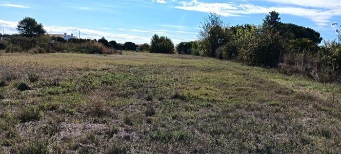 Salvaterra De Magos, 聖塔倫 2125-187, 葡萄牙