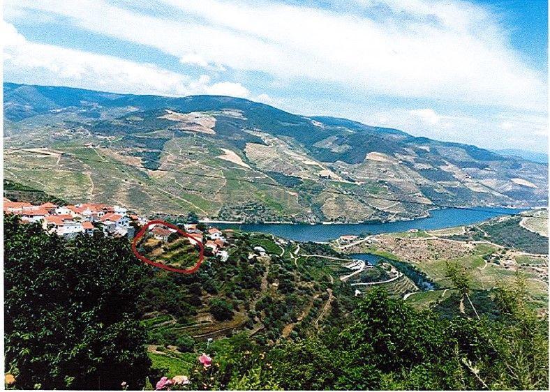 Armamar, Viseu 5110-672, Portugal