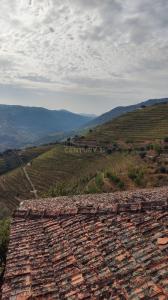 Armamar, Viseu 5110-672, Portugal