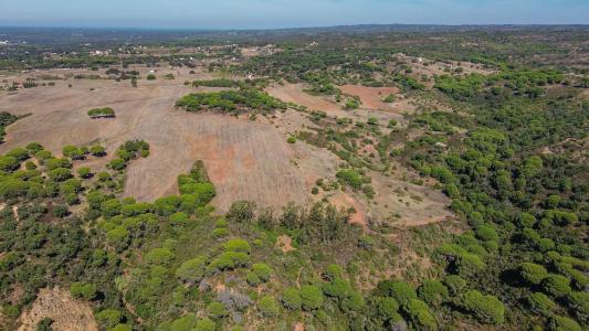 Grândola, Setubal 7570-756, Portugal