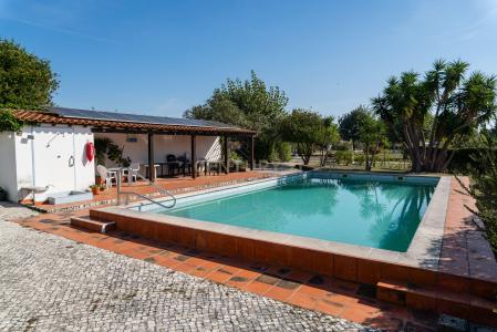 Leiria, Leiria 2425-452, Portugal