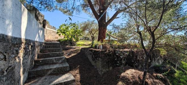 Cáceres, エストレマドゥーラ 10003, スペイン