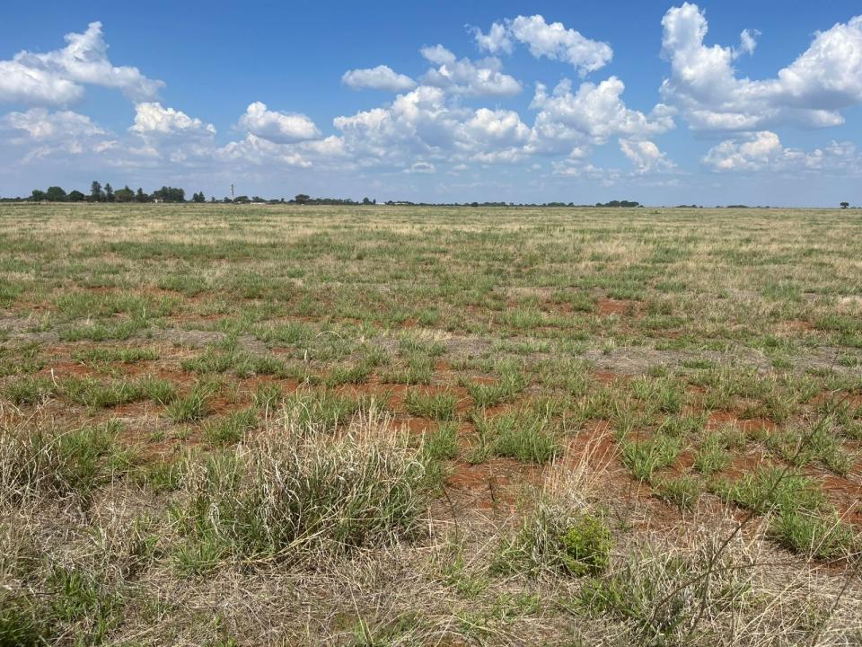 Bela Bela, Limpopo, 南非