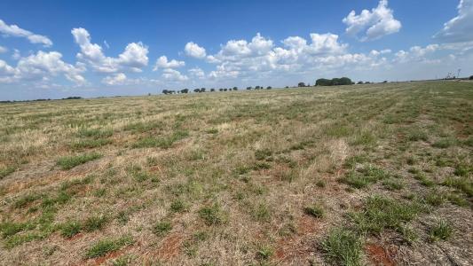 Bela Bela, Limpopo, 南非