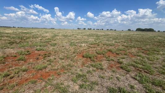 Bela Bela, Limpopo, 南非