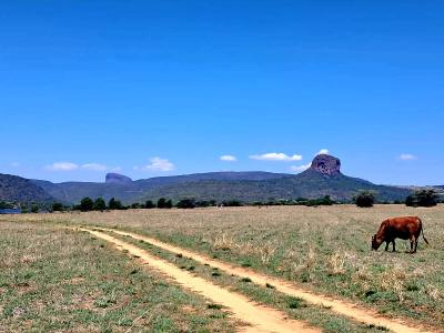 Mookgopong, Limpopo, Afrique Du Sud