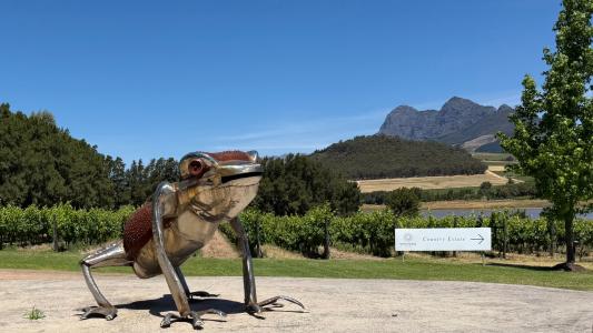 Stellenbosch, Western Cape, África Do Sul