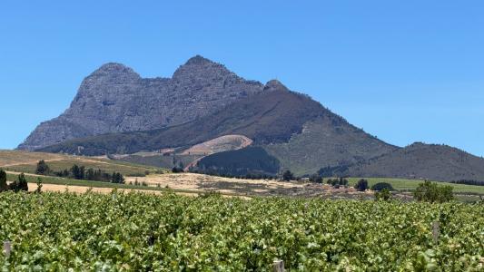 Stellenbosch, Western Cape, África Do Sul