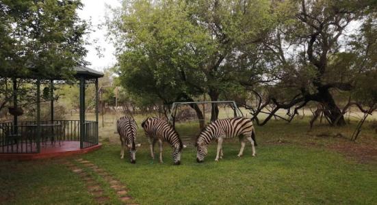 Pretoria, 豪登省, 南非