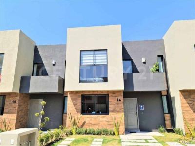 Ciruelo ,, San Mateo Atenco, Estado De México 52104, México