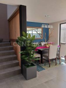 Ciruelo ,, San Mateo Atenco, メヒコ州 52104, メキシコ