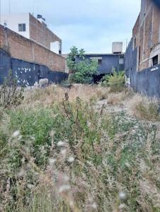 Virrey de Mendoza 1158,, Morelia, Michoacán 58020, Mexico