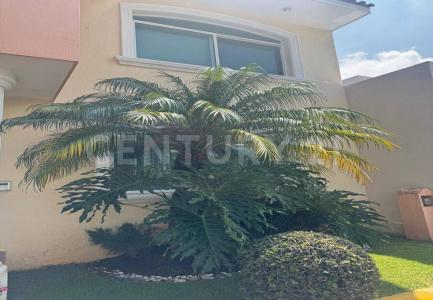 México 296,, Morelia, Michoacán 58270, Mexico