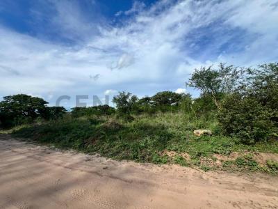 Warnes, Urbanización Tierra Dorada , Norte, Santa Cruz 0000, Bolivia