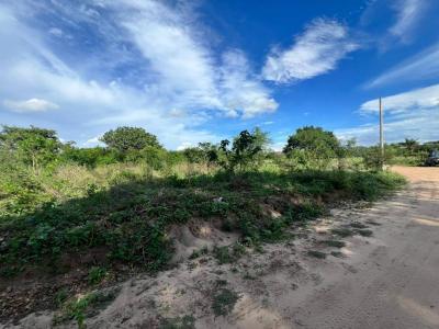 Warnes, Urbanización Tierra Dorada , Norte, Santa Cruz 0000, Bolivia