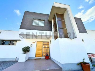 Elqui, Coquimbo 00001, Chile