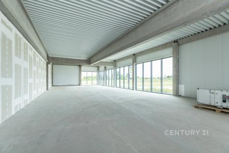 Dobřejovice, Praha-východ 100 00, Czech Republic