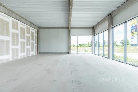 Dobřejovice, Praha-východ 100 00, Czech Republic