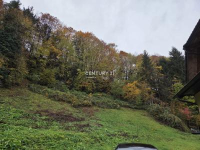 Naklo, Naklo, Gorenjska, Slovenia