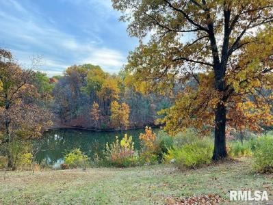 9303 E Old Miller Lane, Куба, Иллинойс 61427, Соединенные Штаты