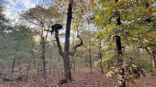 30000 Hummingbird Lane, Cookson, Oklahoma 74427, HOA KỲ