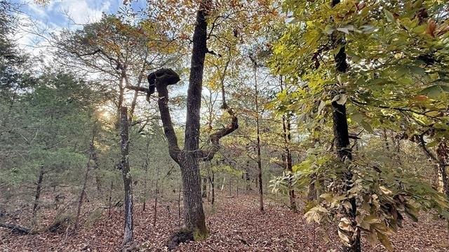 30000 Hummingbird Lane, Cookson, Оклахома 74427, Соединенные Штаты