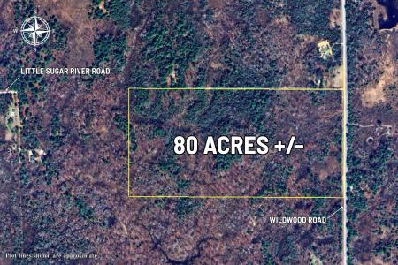 VL Wildwood Road, Alger, Michigan 48610, USA