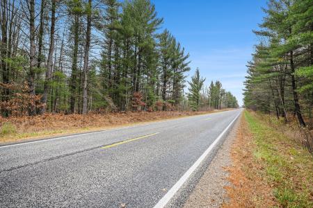 VL Wildwood Road, Alger, Michigan 48610, Amerika Birleşik Devletleri