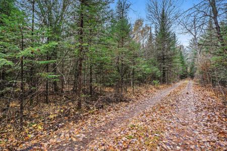 VL Wildwood Road, Alger, Michigan 48610, Amerika Birleşik Devletleri