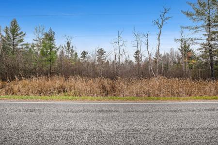 VL Wildwood Road, Alger, Michigan 48610, Amerika Birleşik Devletleri