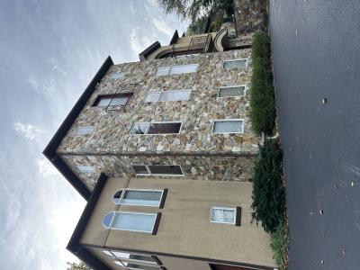 101 Robert Rd, Wyomissing, Pennsylvanie 19610, États-Unis