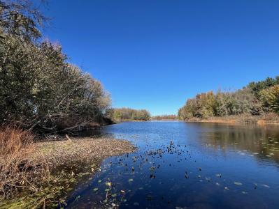 3344 E. Hansen, Custer, Michigan 49405, Estados Unidos