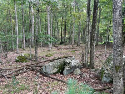 Lot 42 Willow Drive, Hawley, Pennsylvania 18428, Stati Uniti