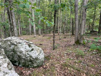 Lot 42 Willow Drive, Hawley, Pennsylvania 18428, Stati Uniti