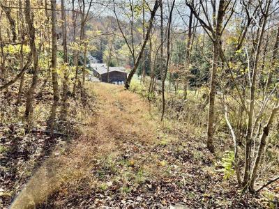 7932 Hurricane Creek Rd, Winfield, Virgínia Ocidental 25213, Estados Unidos