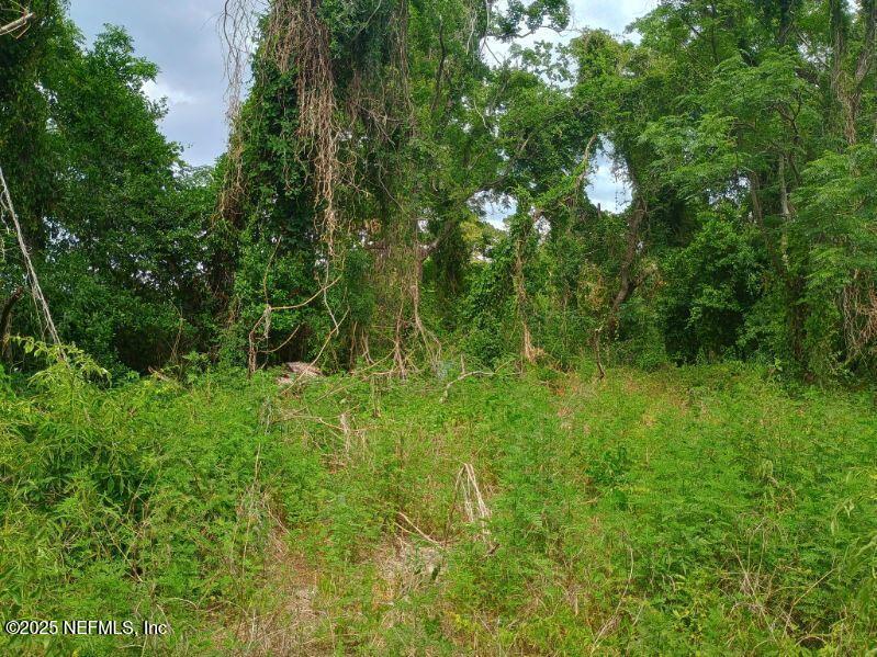 341 College Dr. C., Orange Park, Florida 32065