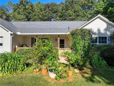 82 Orman Drive, Ellijay, Georgia 30540, Stati Uniti