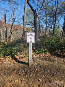 Lure Ridge Drive unit: 1, Lake Lure, Carolina Del Norte 28746, Estados Unidos