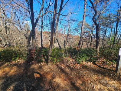 Lure Ridge Drive unit: 1, Lake Lure, Carolina Del Norte 28746, Estados Unidos