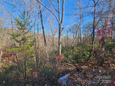 Lure Ridge Drive unit: 1, Lake Lure, Carolina Del Norte 28746, Estados Unidos