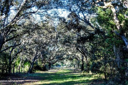 96 BRIDLE Drive, Interlachen, Florida 32148