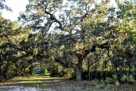 96 BRIDLE Drive, Interlachen, Florida 32148