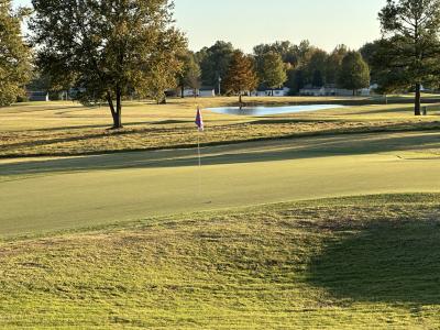 333 Wynridge, Troy, Tennessee 38260, Stati Uniti