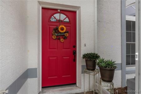 294 N Turkey Pine Loop, Lecanto, 佛罗里达州 34461, 美国