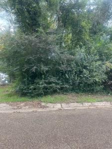 311 Pearl, Camden, 알칸사 71701, 미국