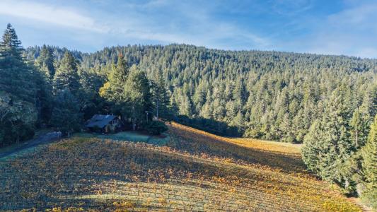 7680 Highway 128 Highway, Philo, 캘리포니아 95466, 미국