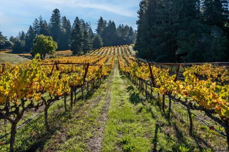 7680 Highway 128 Highway, Philo, 캘리포니아 95466, 미국